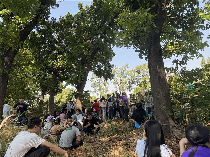 A group of people sitting and standing under trees on a slope in partial shade after an earthquake.