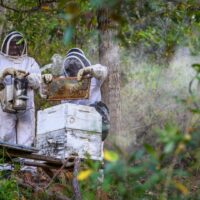 D155-0425-094-scaled Community action, levers of change: Reorienting more inclusive & resilient local food systems