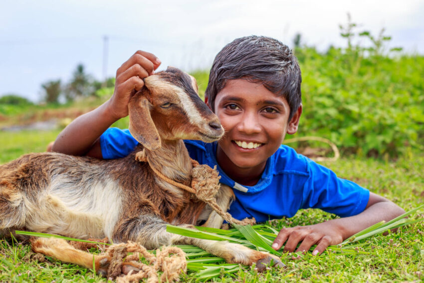 As you plan your holiday shopping this year, here are our top 12 best Christmas gifts for 2021. What’s your favorite way to choose joy at Christmas?