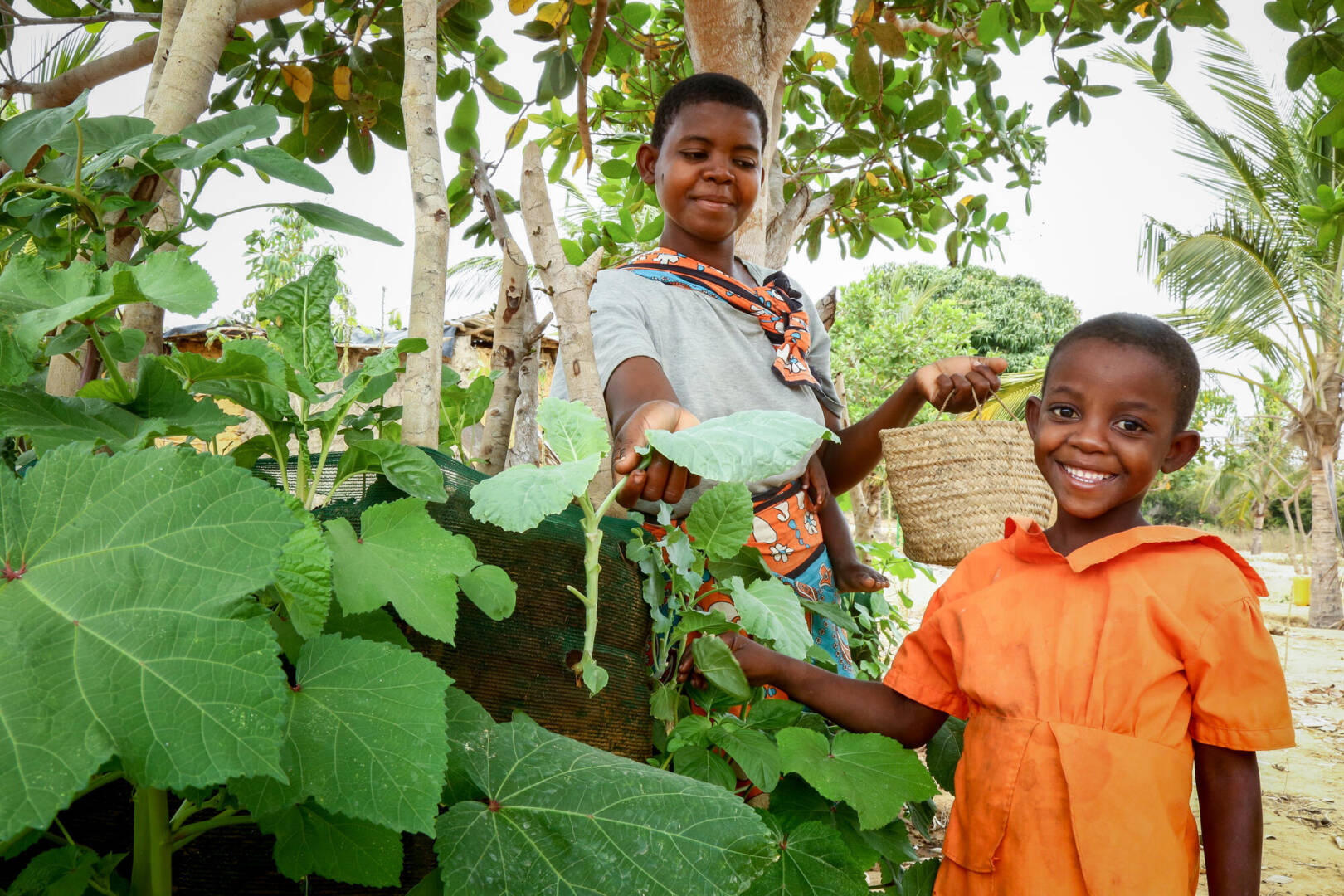 Kitchen garden Mother and daughter harvest crops together.