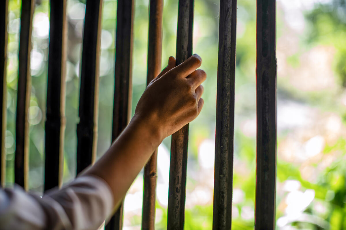 A girl&rsquo;s right hand holds one rung of grates on a window, with an outside view of a blurred scene of trees and sunshine.