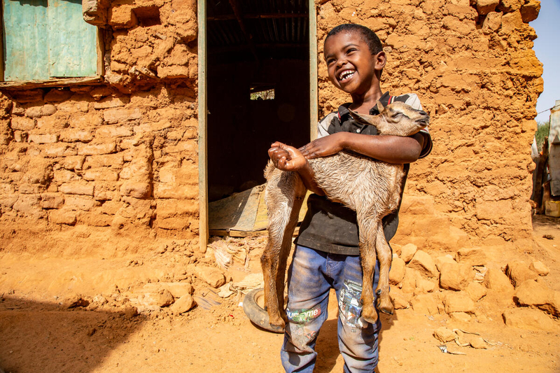 A Somali boy wearing jeans and a black shirt stands outside a brick and mud home smiling while holding a newborn goat.