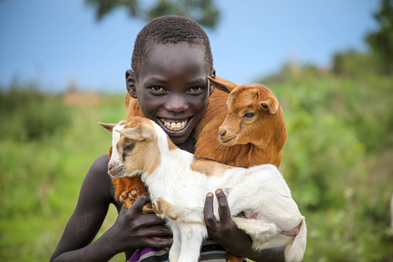 Gift Catalogue Resources for WVUS Mustafa, 10, a South Sudanese refugee living in Uganda, poses with the goats that helped save his family.