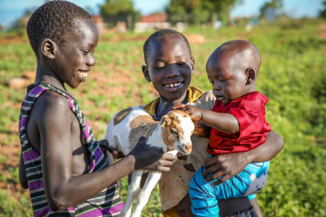 Mustafa and his siblings play with one of their family&rsquo;s goats near their home in a Ugandan refugee settlement.