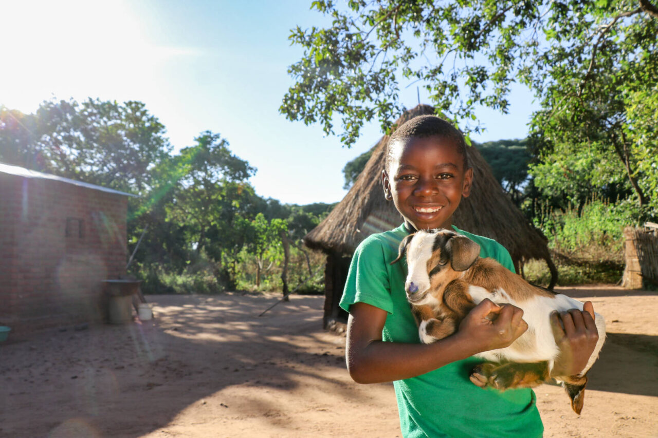 Billy holds goat A simple gift of goats brought great joy to Billy and his family.