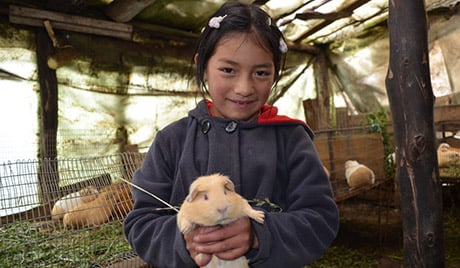 Ecuador Economic Dev   