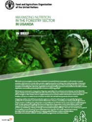 Maximizing Nutrition in Forestry Using a Food Systems Approach (PDF) Maximizing Nutrition in Forestry Using a Food Systems Approach (PDF)