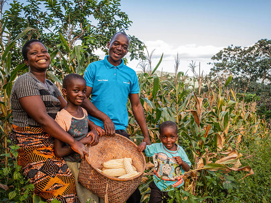man and his kids picking corn from the fields