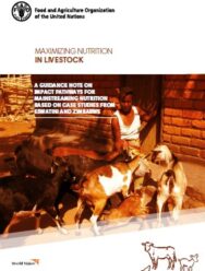 A Guidance Note On Impact Pathways For Mainstreaming Nutrition based on case studies from Eswatini and Zimbabwe (PDF) A Guidance Note On Impact Pathways For Mainstreaming Nutrition based on case studies from Eswatini and Zimbabwe (PDF)