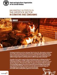 Maximizing Nutrition in the Livestock Sector in Eswatini and Zimbabwe (PDF) Maximizing Nutrition in the Livestock Sector in Eswatini and Zimbabwe (PDF)