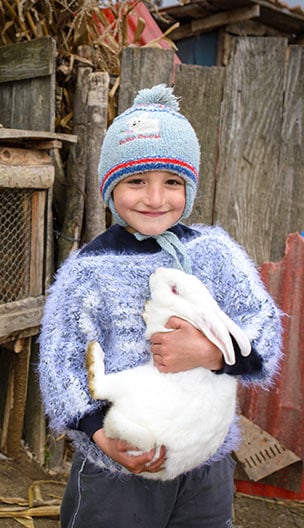 Romania Economic Dev