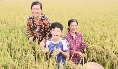 Vietnam Economic Dev