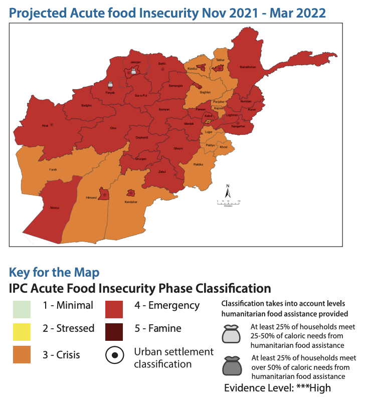 At least 22.8 million people face a hunger crisis in Afghanistan, where fears grow of families being forced to sell their children for food.